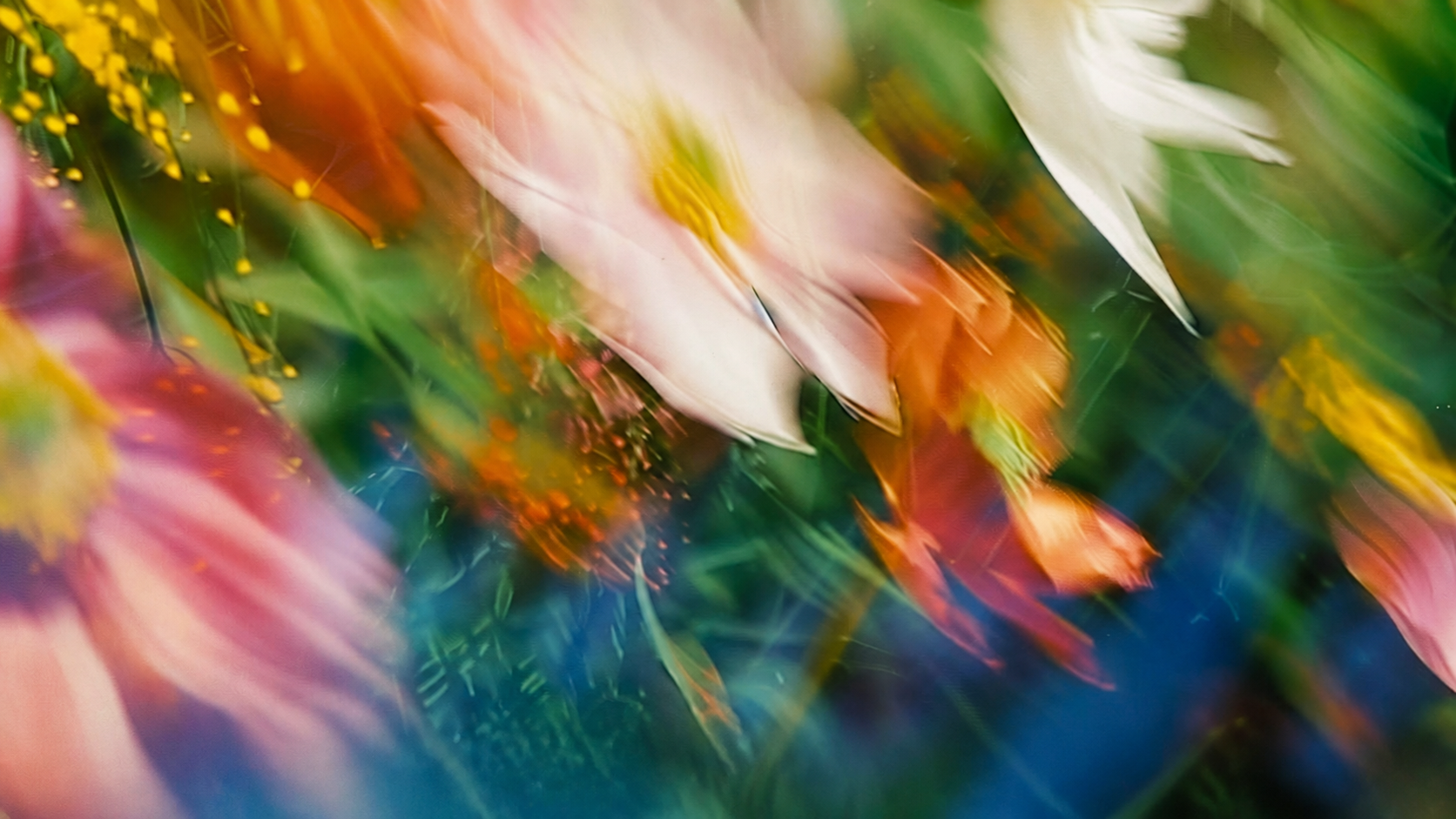 Flores abstractas en movimiento, imagen de Essentialis